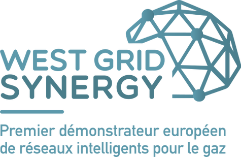 logo-WGS